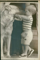 Prince Harry - Vintage Photograph