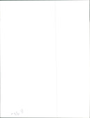 Prince Harry - Vintage Photograph