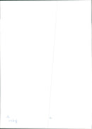 Prince Harry - Vintage Photograph