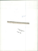 Prince Harry - Vintage Photograph