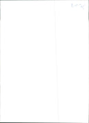 Prince Harry - Vintage Photograph