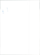 Prince Harry - Vintage Photograph