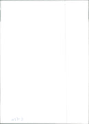 Prince Harry - Vintage Photograph