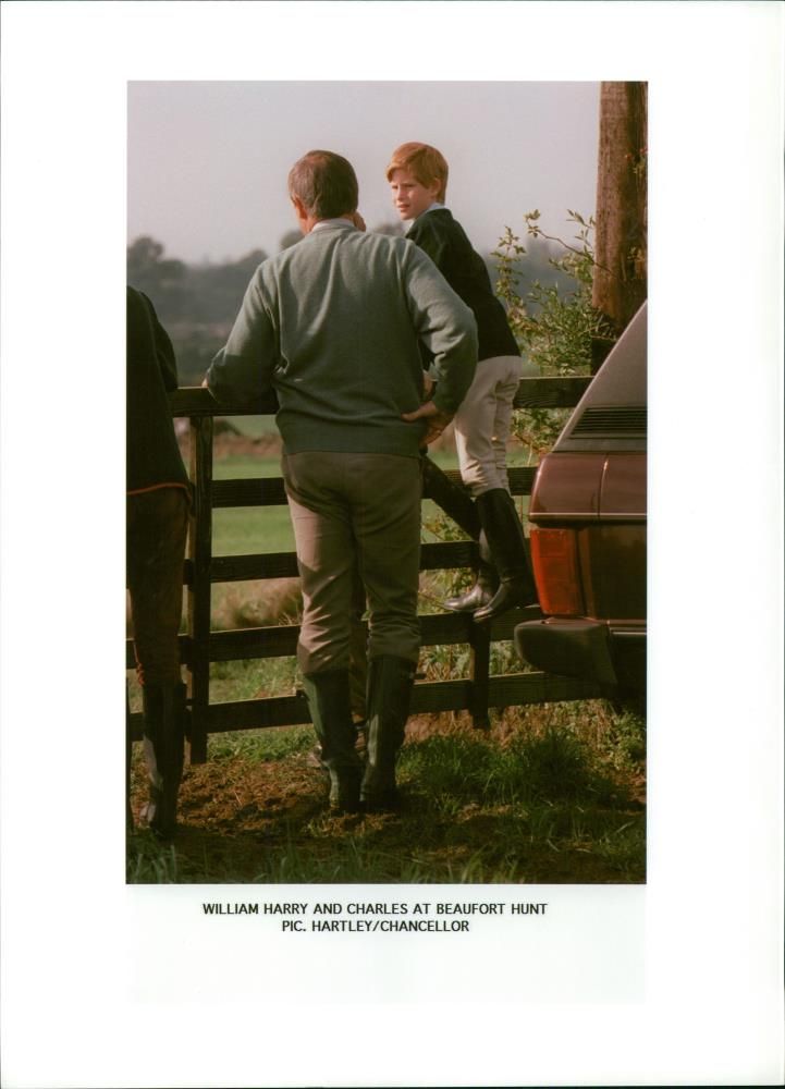 Prince Harry - Vintage Photograph