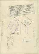 pigeon - Vintage Photograph