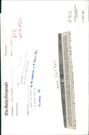 pigeon - Vintage Photograph