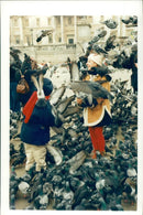 pigeon - Vintage Photograph