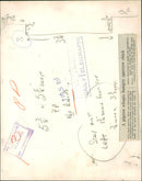 pigeon - Vintage Photograph