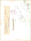 pigeon - Vintage Photograph