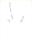 Aircraft: SAAB JAS 39 - Vintage Photograph