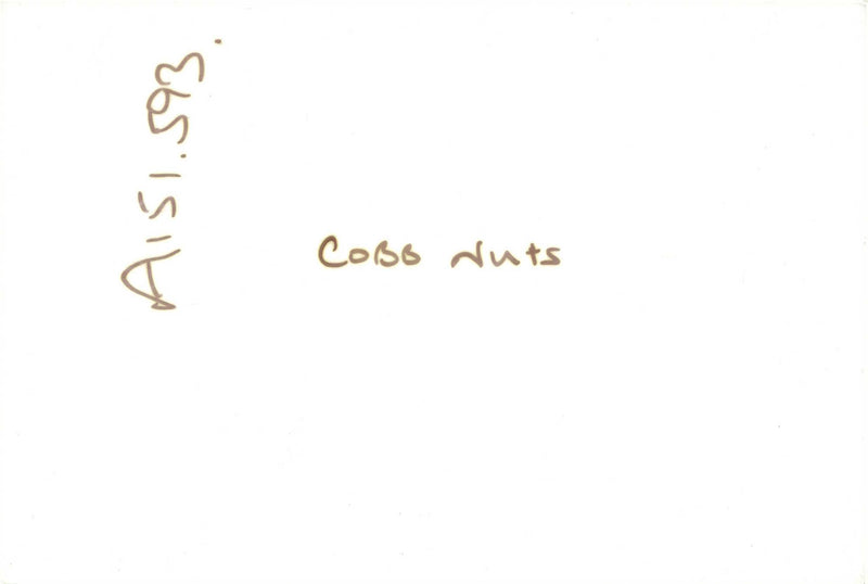 Hazelnut. - Vintage Photograph