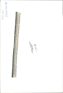 Second Sudanese Civil War - Vintage Photograph