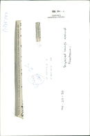 Second Sudanese Civil War - Vintage Photograph