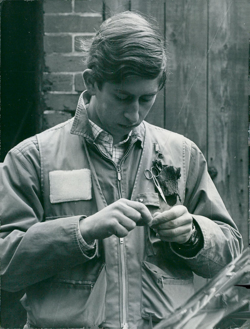 Prince Charles of Wales fishes at River Frome. - Vintage Photograph