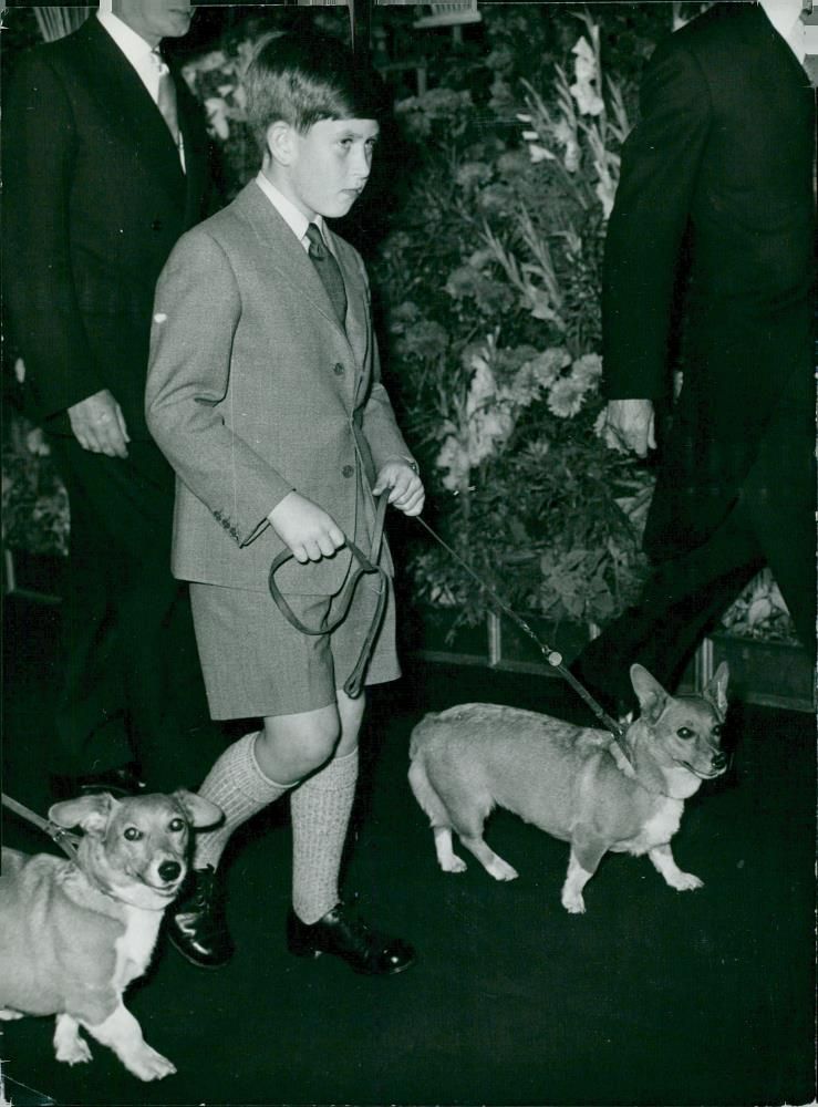 Prince Charles with royal family dogs at Euston Station - Vintage Photograph