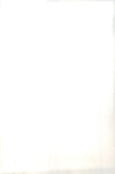 The Duke of Edinburgh, Princess Anne and Captain Mark Philips, as well as Bestman Eric Grounds in front of the altar during the wedding ceremony of Westminster Abbey - Vintage Photograph