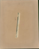 Duke and Duchess of Kent - Vintage Photograph