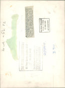 Duke and Duchess of Kent - Vintage Photograph