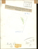 Duke and Duchess of Kent - Vintage Photograph