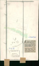 Duke and Duchess of Kent - Vintage Photograph