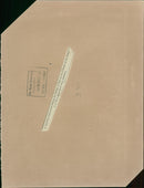 Duke and Duchess of Kent - Vintage Photograph