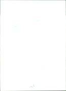 Duke and Duchess of Kent - Vintage Photograph