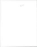 Princess Diana, Prince Dipendra and G. P. Koirala. - Vintage Photograph