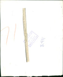 The Duke and Duchess of Kent, Queen Elizabeth II and Prince Philip. - Vintage Photograph