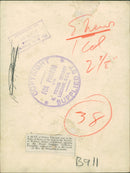 A bust of Prince Edward, Duke of Kent. - Vintage Photograph