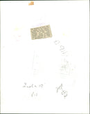 Duchess of Kent - Vintage Photograph