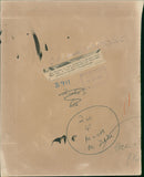 The Duchess of Kent and Daisy Hall. - Vintage Photograph