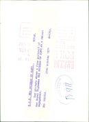 Duchess of Kent. - Vintage Photograph