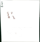 Katharine, The Duchess of Kent. - Vintage Photograph