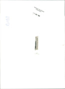 Katharine, The Duchess of Kent. - Vintage Photograph