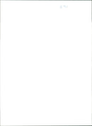 Princess Margaret and The Duchess of Kent. - Vintage Photograph