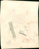 Prince Edward, Duke of Kent. - Vintage Photograph