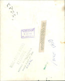 The Duke and Duchess of Kent. - Vintage Photograph