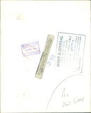 Katharine, Duchess of Kent. - Vintage Photograph