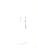 Invasion of Kuwait - Vintage Photograph