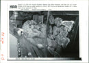 Invasion of Kuwait - Vintage Photograph