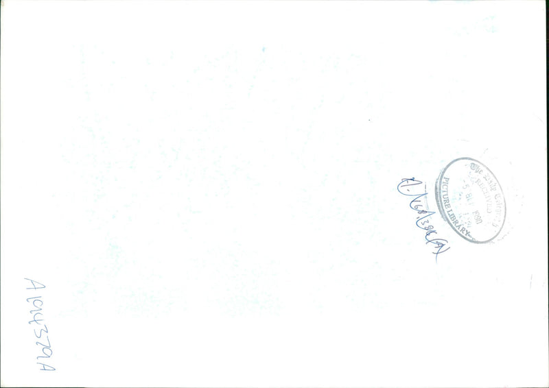 Egyptian troops. - Vintage Photograph