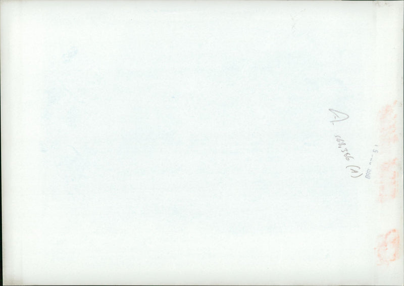 French Soldiers from the marine artilley regiment. - Vintage Photograph