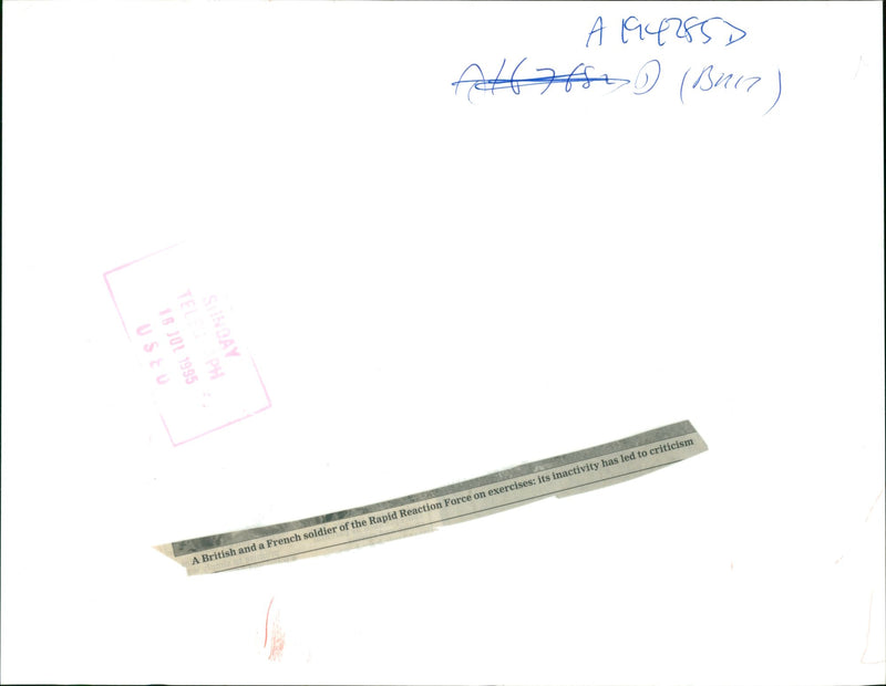 British and French soldier. - Vintage Photograph