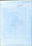 Moldovan paramilitary police - Vintage Photograph