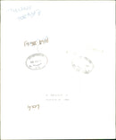 Invasion of Kuwait. - Vintage Photograph