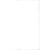 Alexander Haig and Helmut Schmidt - Vintage Photograph