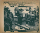 Croat–Bosniak War - Vintage Photograph