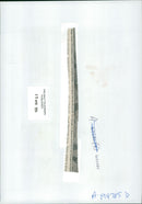 CroatâBosniak War - Vintage Photograph