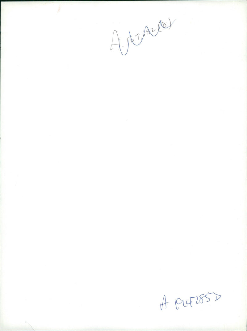 Croat–Bosniak War - Vintage Photograph