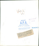 Bird: Ostrich - Vintage Photograph